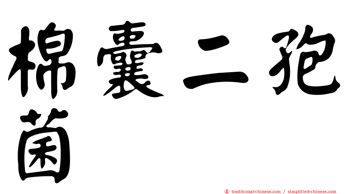 棉囊二孢菌