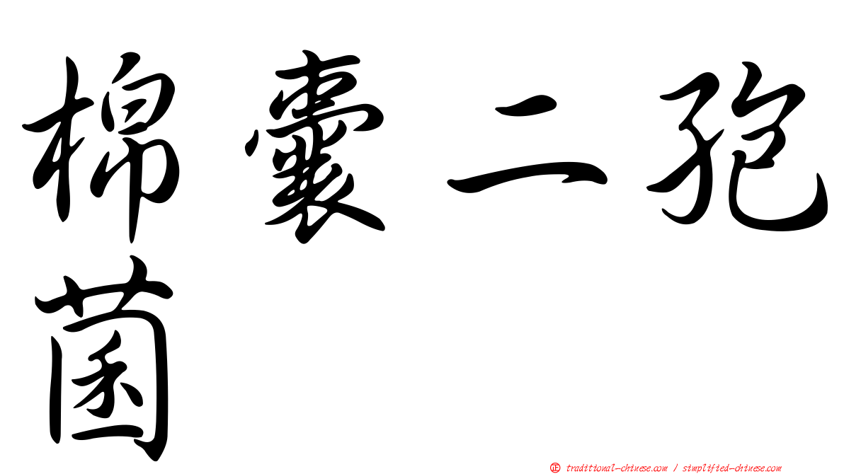 棉囊二孢菌