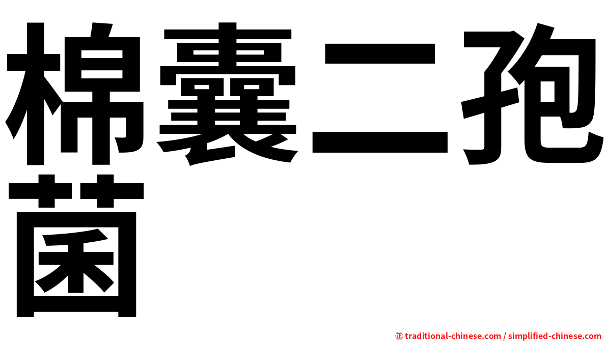 棉囊二孢菌