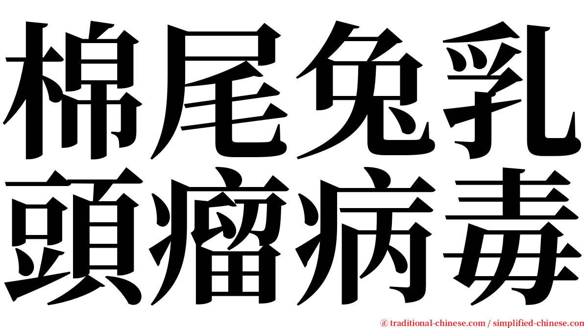 棉尾兔乳頭瘤病毒 serif font