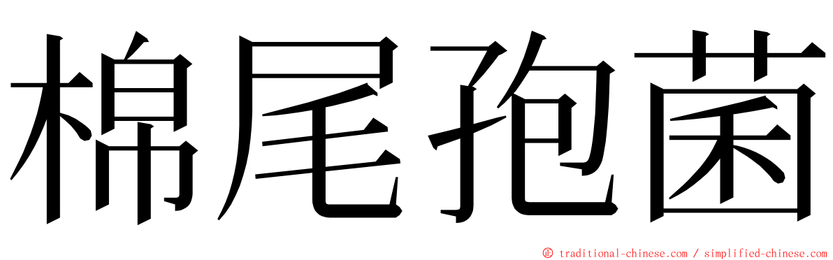 棉尾孢菌 ming font