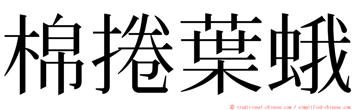 棉捲葉蛾 ming font