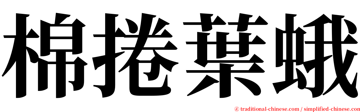 棉捲葉蛾 serif font