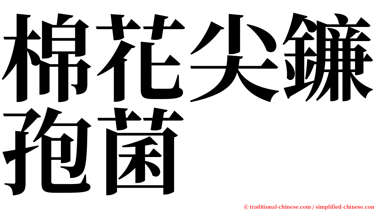 棉花尖鐮孢菌 serif font