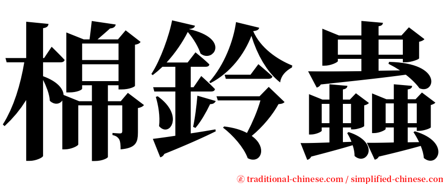 棉鈴蟲 serif font