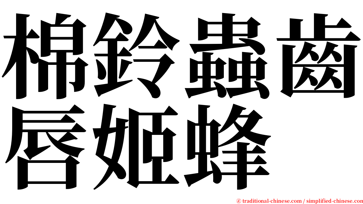 棉鈴蟲齒唇姬蜂 serif font