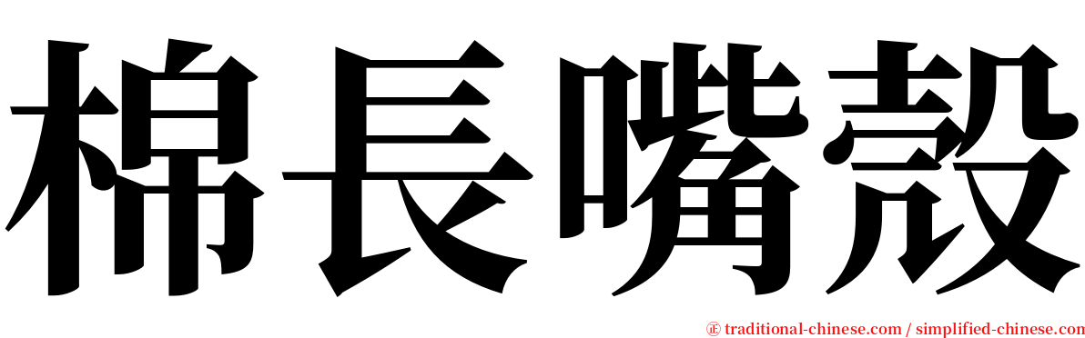棉長嘴殼 serif font