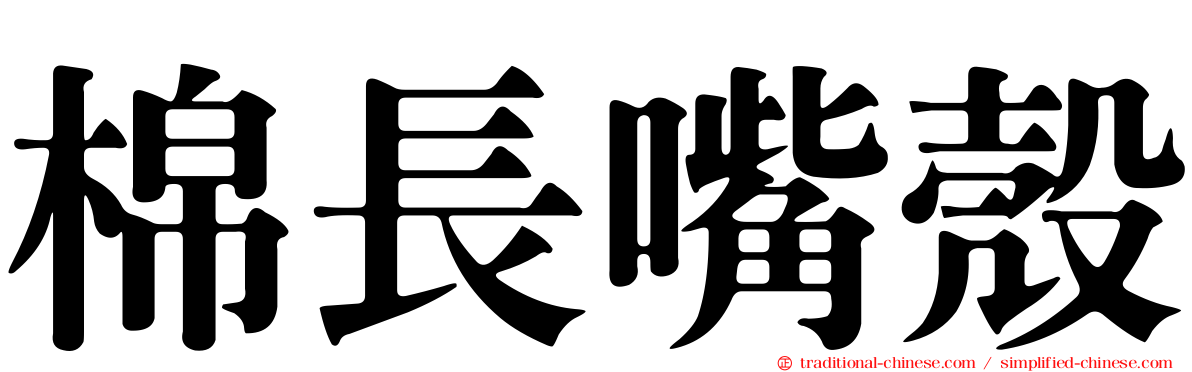 棉長嘴殼