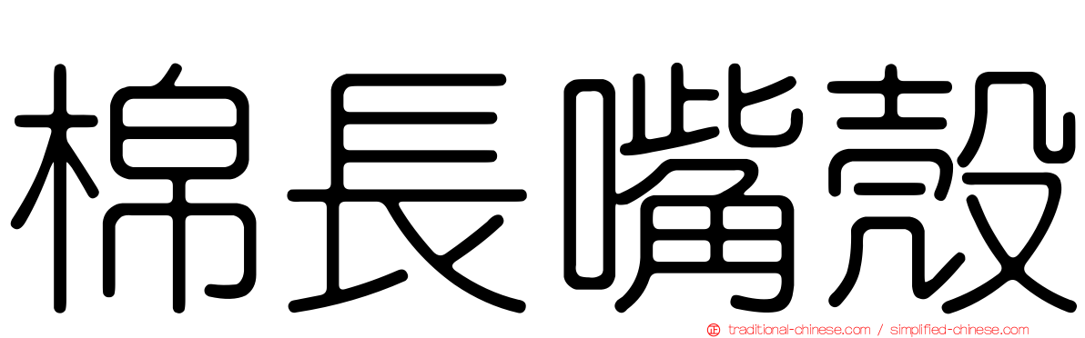 棉長嘴殼