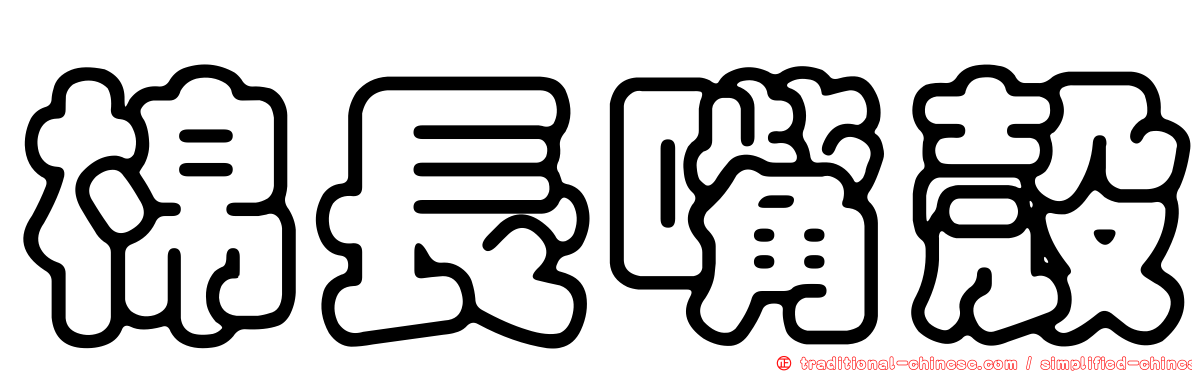 棉長嘴殼