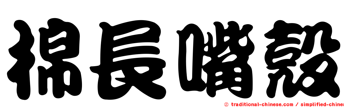 棉長嘴殼