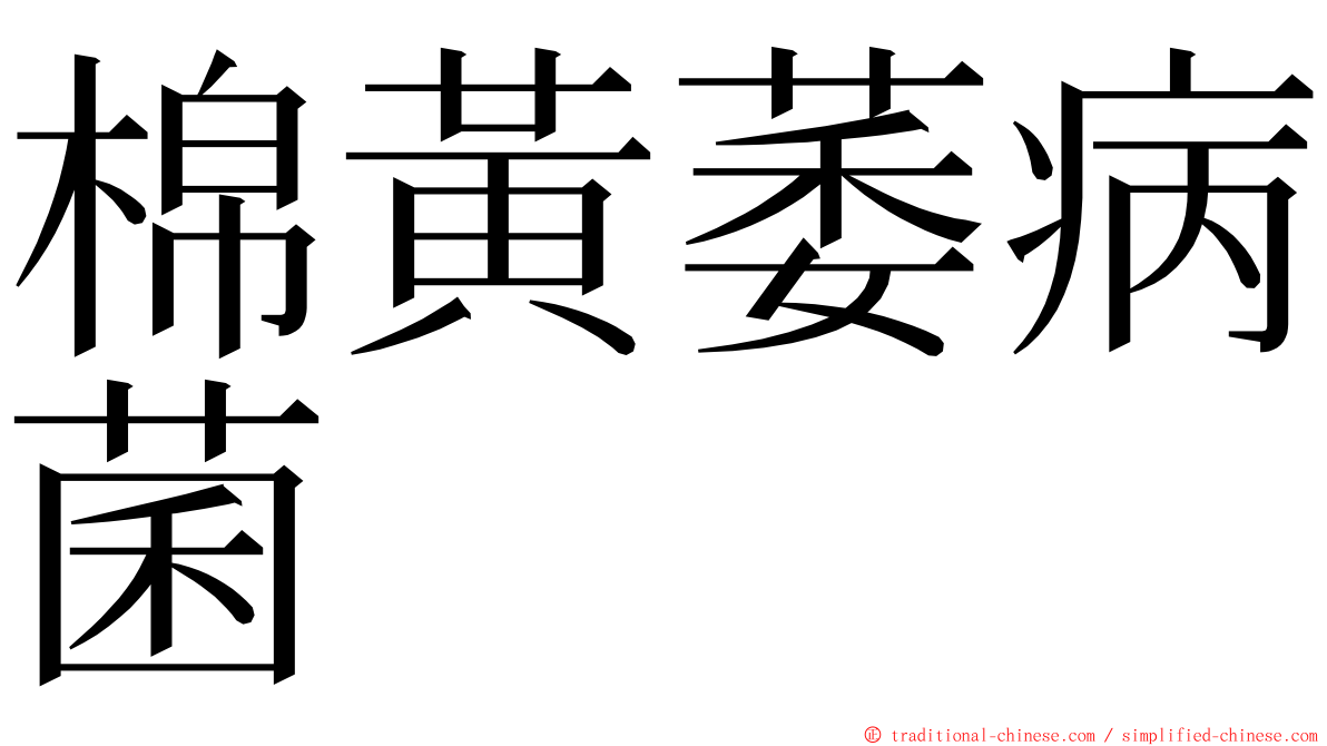 棉黃萎病菌 ming font
