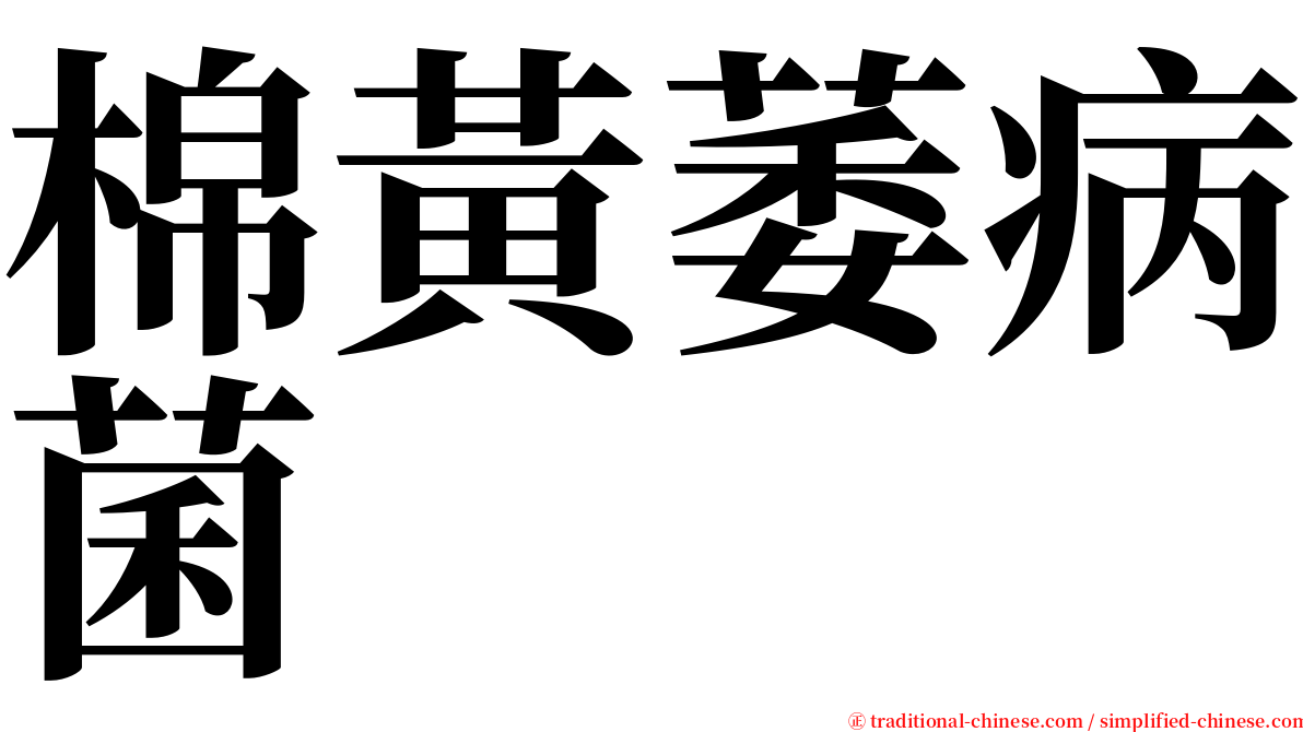 棉黃萎病菌 serif font