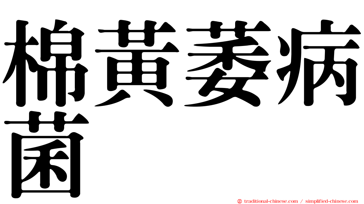 棉黃萎病菌