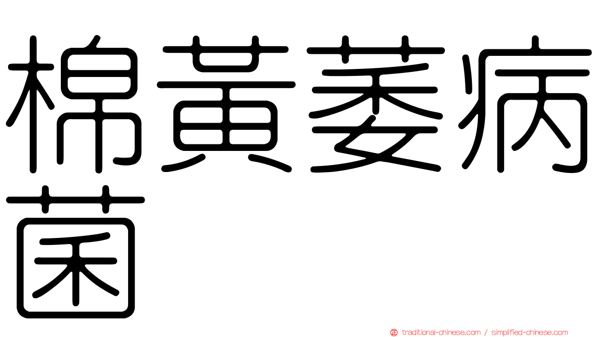 棉黃萎病菌
