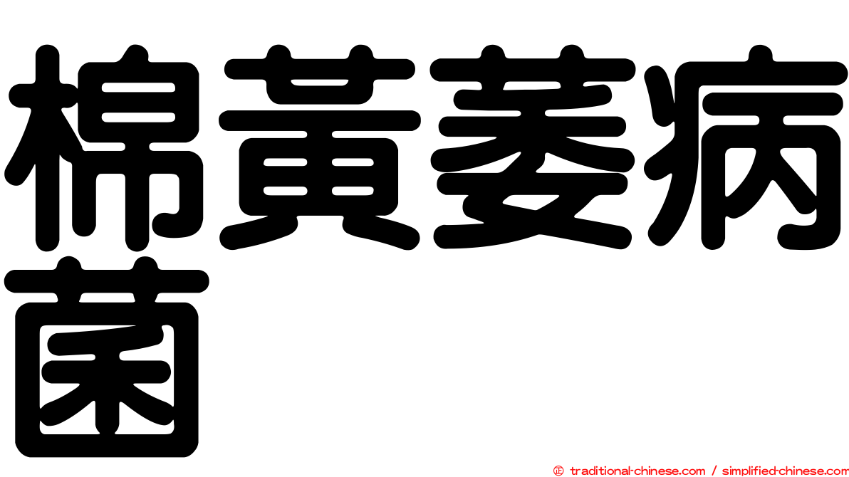 棉黃萎病菌