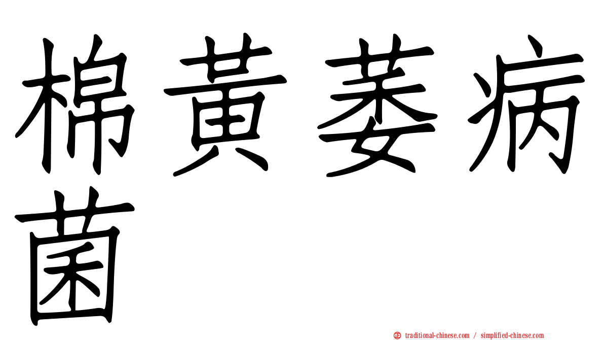 棉黃萎病菌