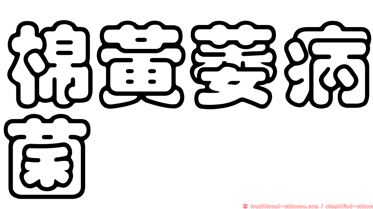 棉黃萎病菌