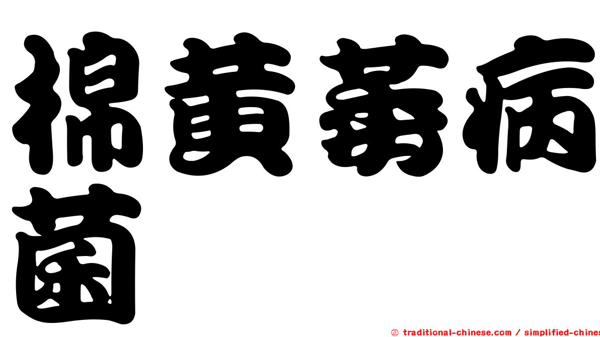 棉黃萎病菌