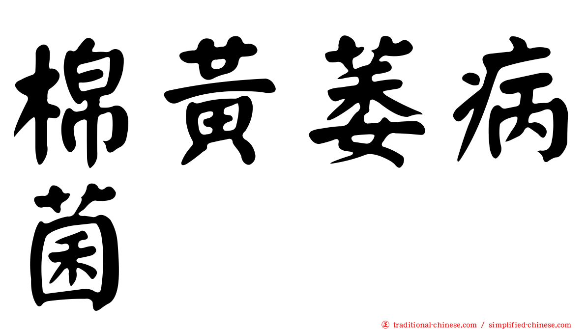 棉黃萎病菌