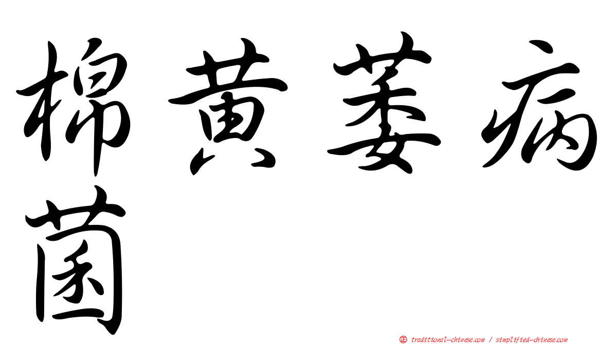 棉黃萎病菌