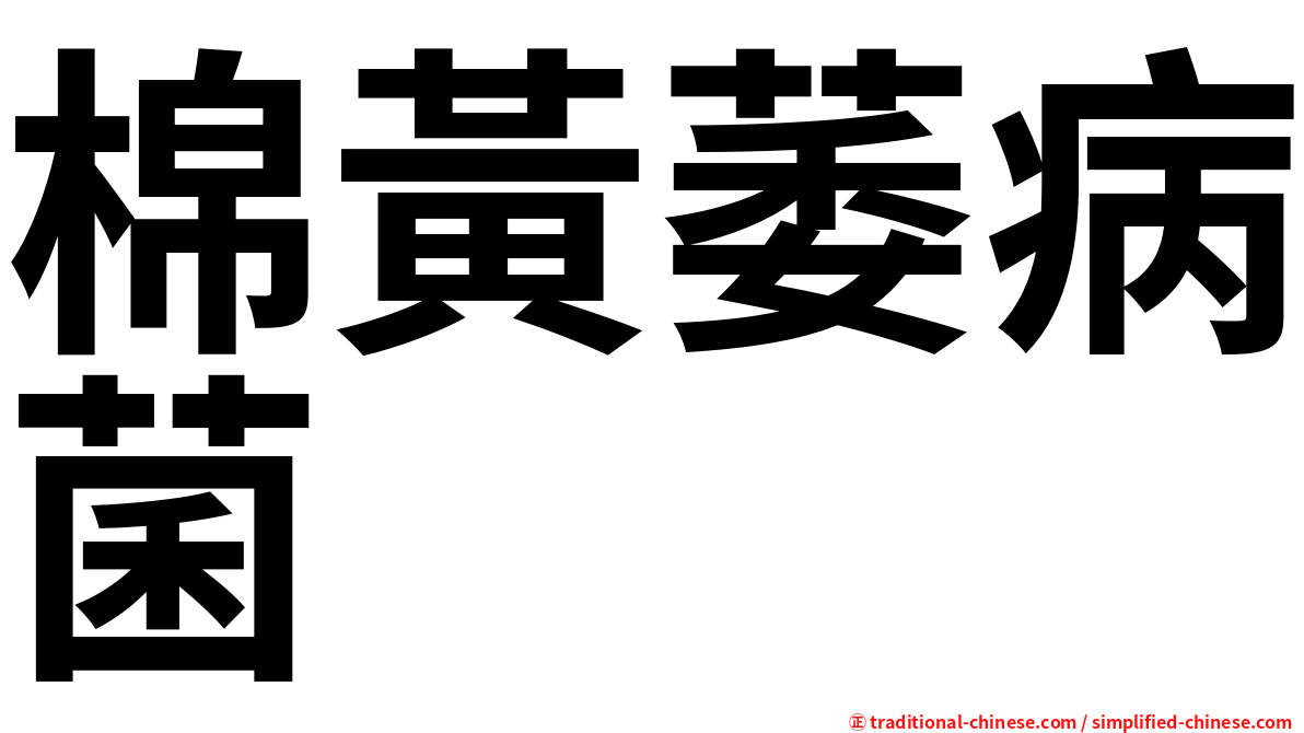 棉黃萎病菌