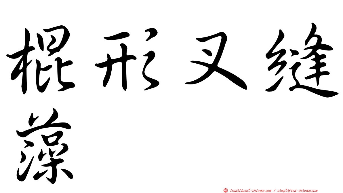 棍形叉縫藻