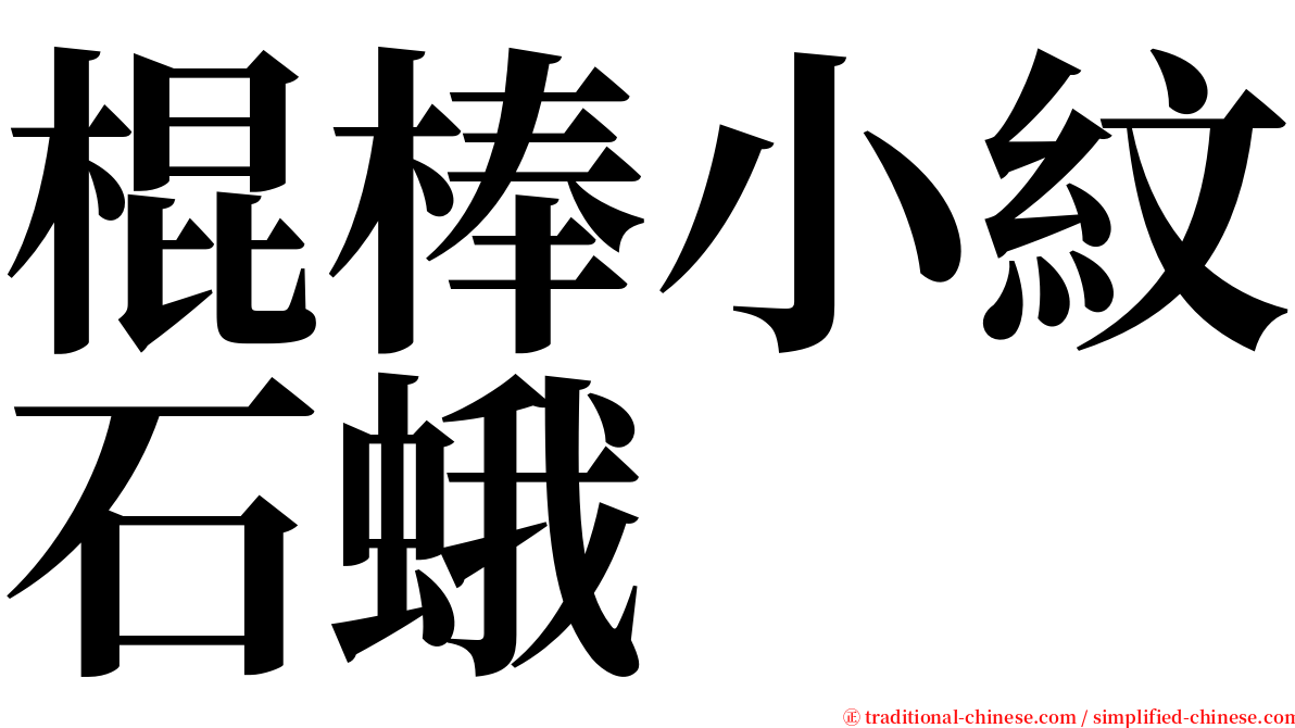 棍棒小紋石蛾 serif font