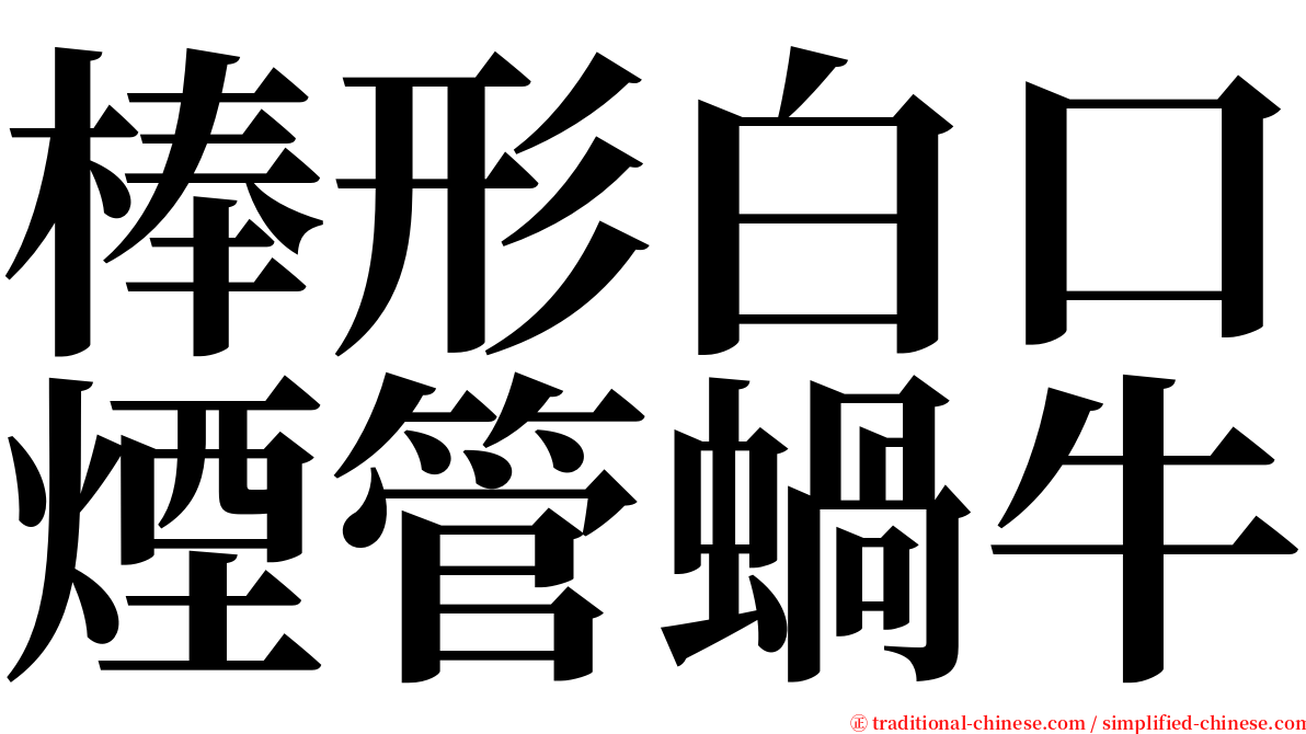 棒形白口煙管蝸牛 serif font