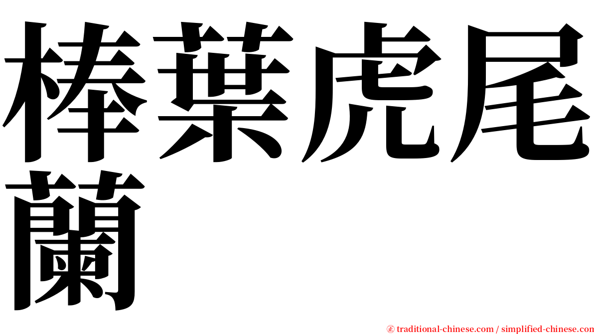 棒葉虎尾蘭 serif font