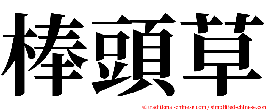 棒頭草 serif font