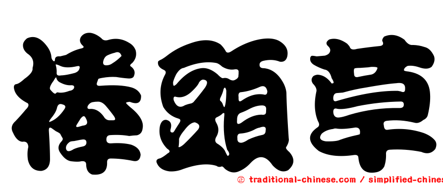 棒頭草