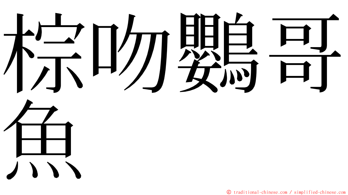 棕吻鸚哥魚 ming font