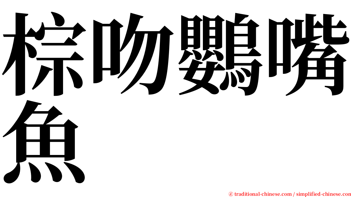 棕吻鸚嘴魚 serif font