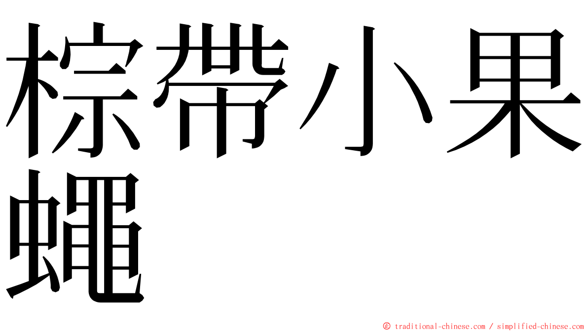 棕帶小果蠅 ming font