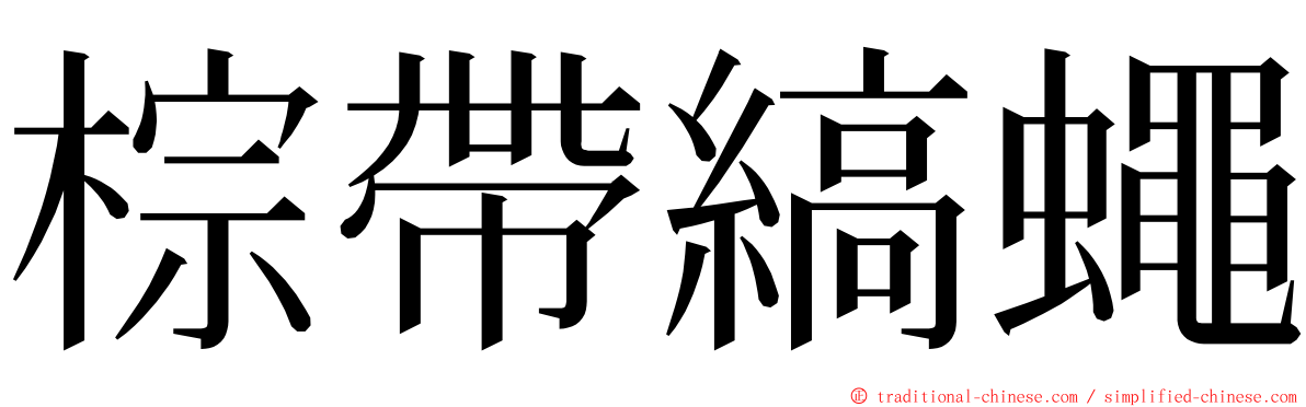 棕帶縞蠅 ming font
