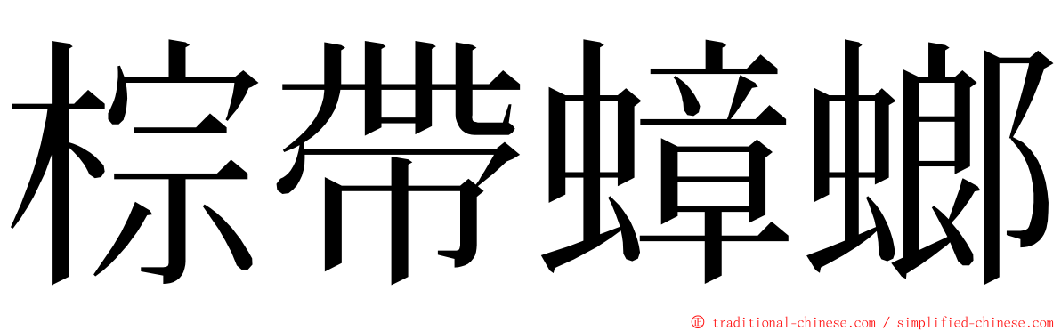 棕帶蟑螂 ming font