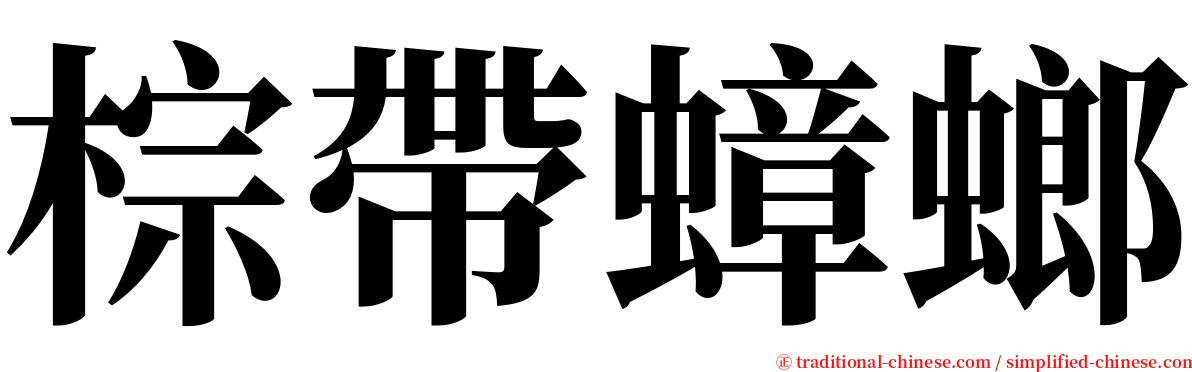 棕帶蟑螂 serif font