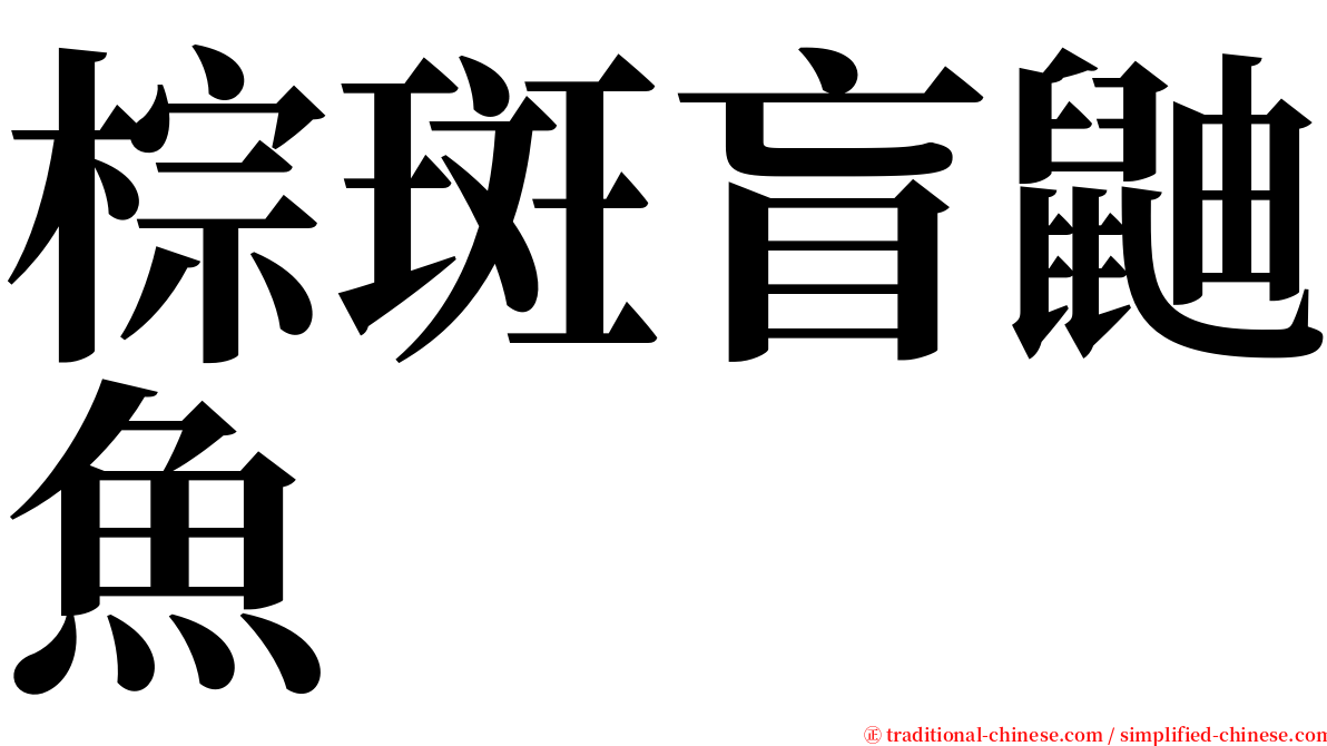 棕斑盲鼬魚 serif font