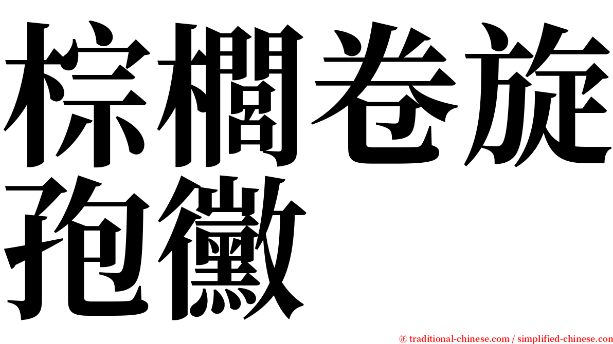 棕櫚卷旋孢黴 serif font