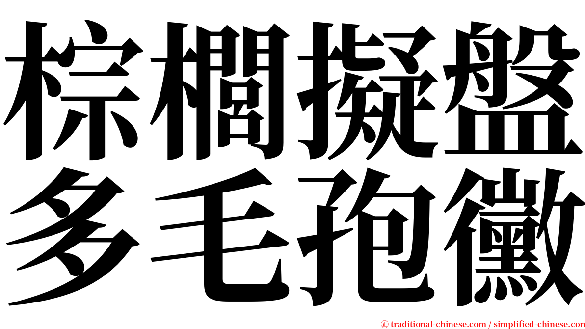 棕櫚擬盤多毛孢黴 serif font