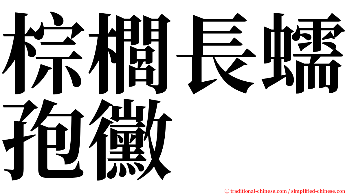 棕櫚長蠕孢黴 serif font