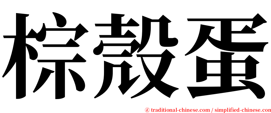 棕殼蛋 serif font