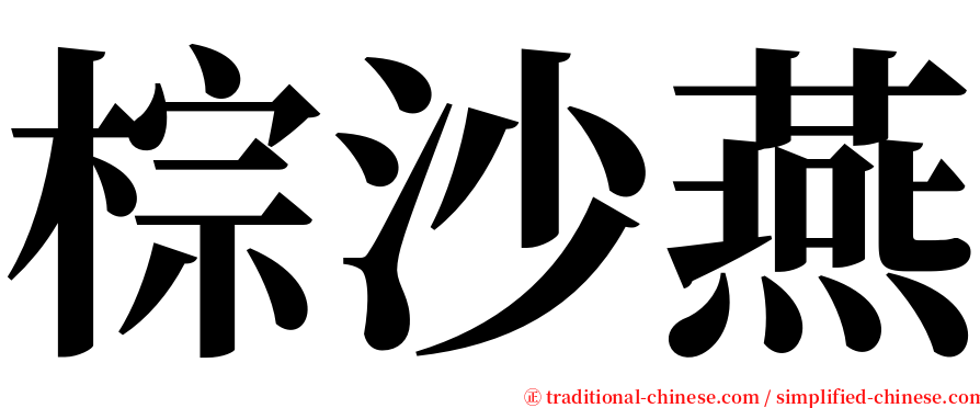 棕沙燕 serif font