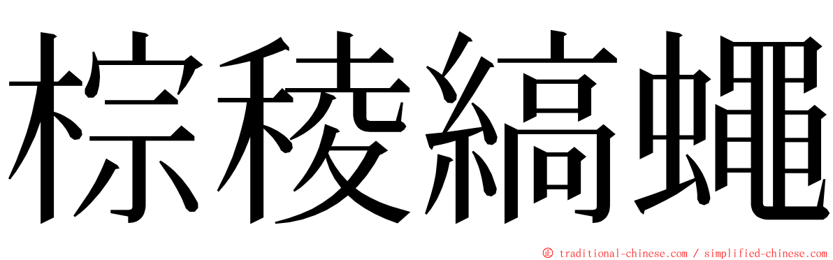 棕稜縞蠅 ming font