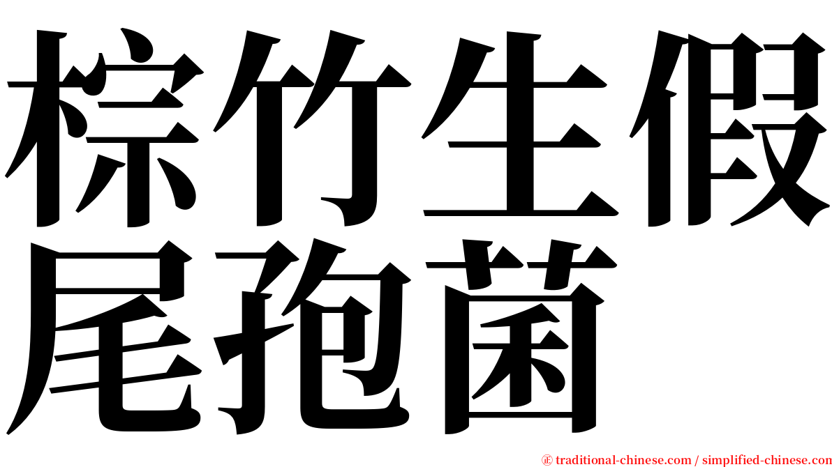 棕竹生假尾孢菌 serif font