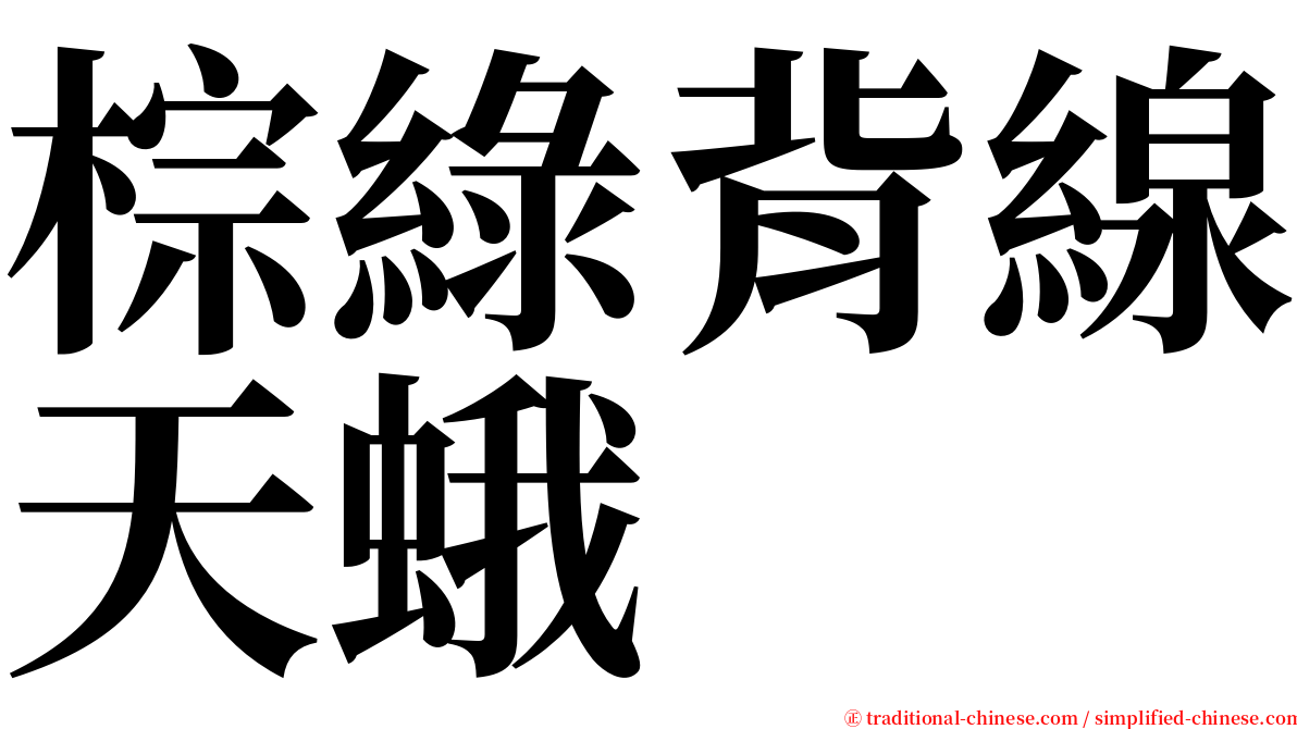 棕綠背線天蛾 serif font