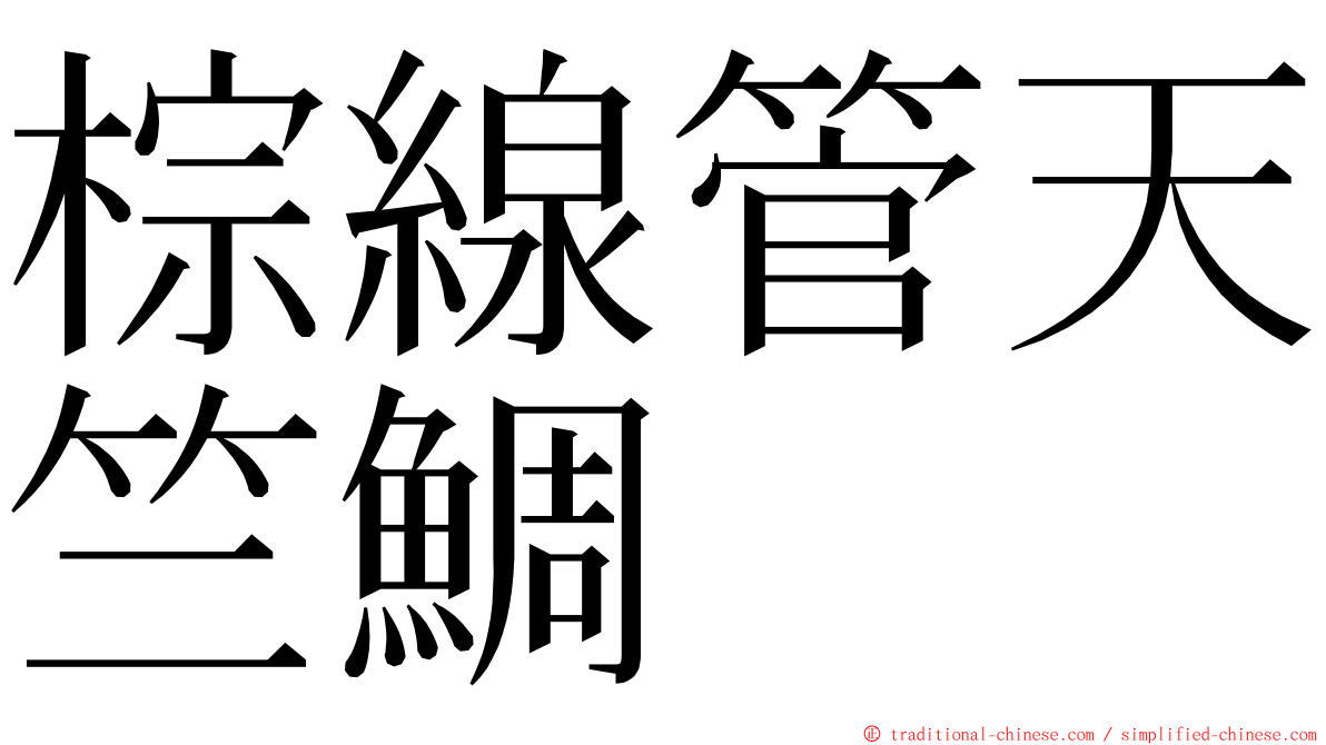 棕線管天竺鯛 ming font