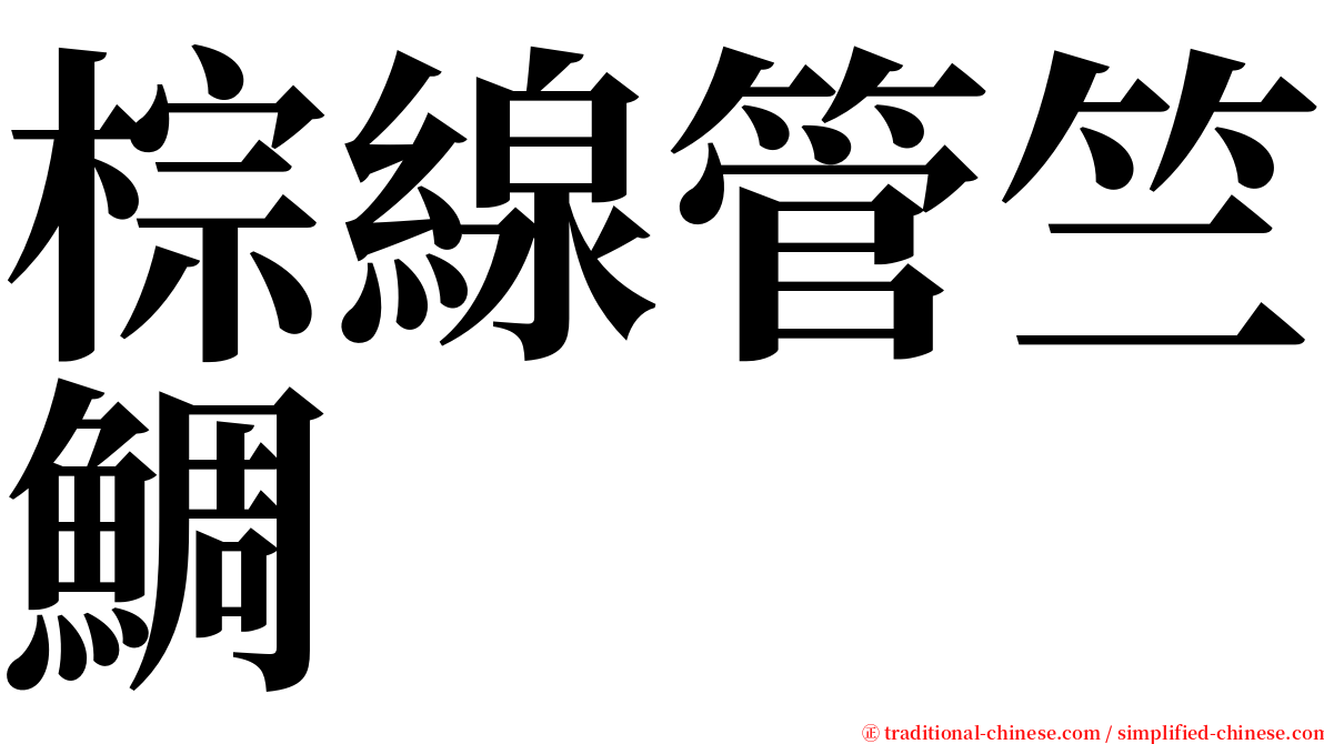 棕線管竺鯛 serif font