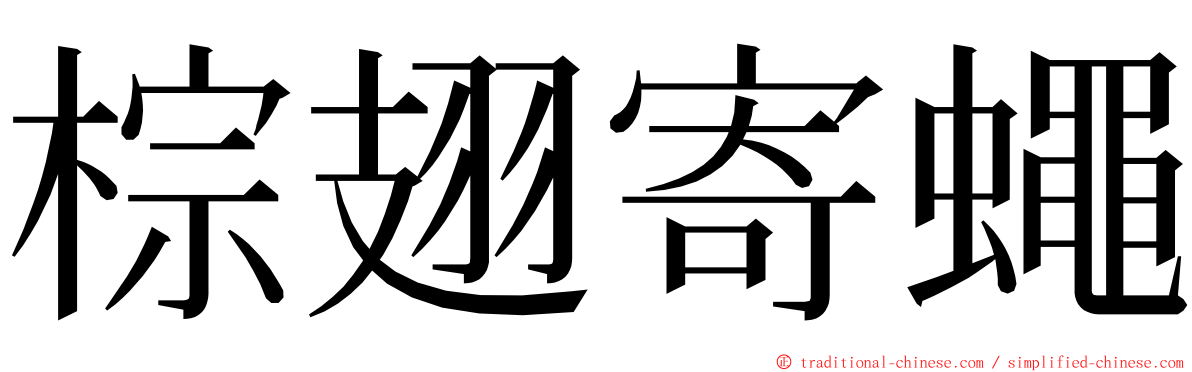 棕翅寄蠅 ming font